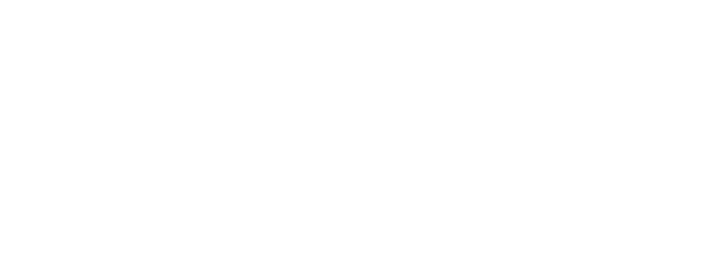 Risky Limits logo